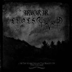 The Descent Of The Sun : And the Stars Obtain the Beauty of the Forlorn